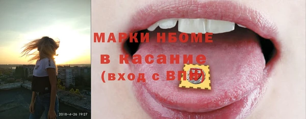крисы Няндома
