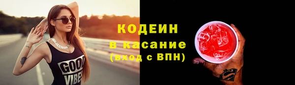крисы Няндома