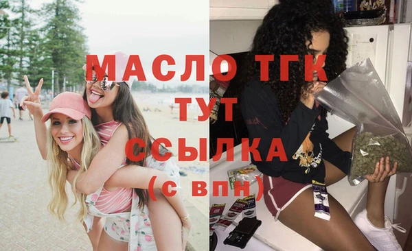 крисы Няндома