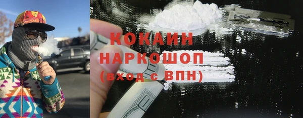 крисы Няндома