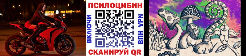 Галлюциногенные грибы Psilocybine cubensis Чусовой