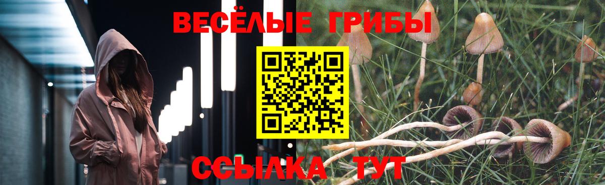 Псилоцибиновые грибы прущие грибы Чусовой